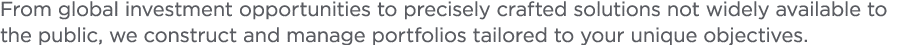From global investment opportunities to precisely crafted solutions not widely available to the public  we construct    