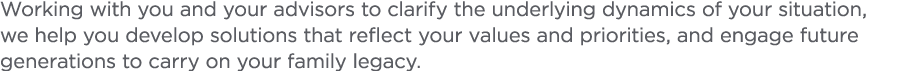Working with you and your advisors to clarify the underlying dynamics of your situation  we help you develop solution   